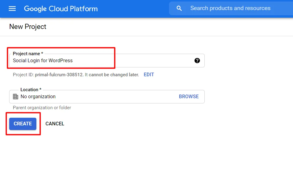 Google WordPress social login app project details