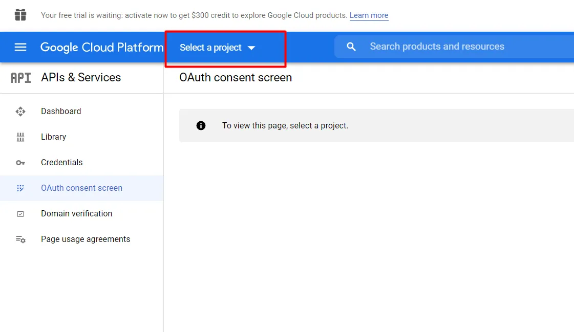 Google app WP social login