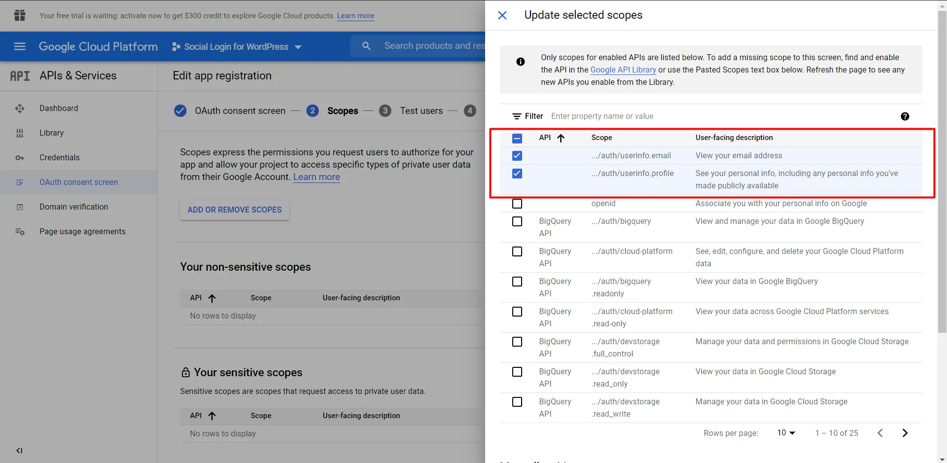 Google WordPress social login scopes for login