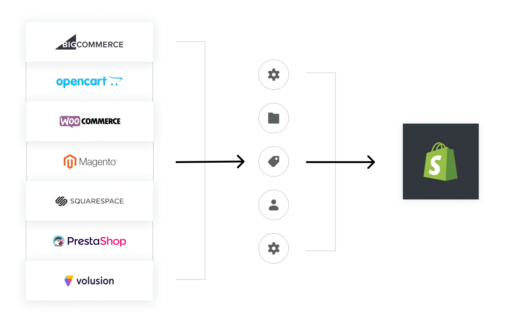 Shopify e-commerce store migration
