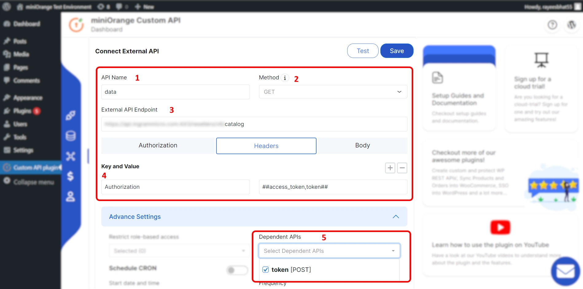 Custom Rest API Advance setting